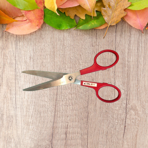 Stainless Steel  Scissors
